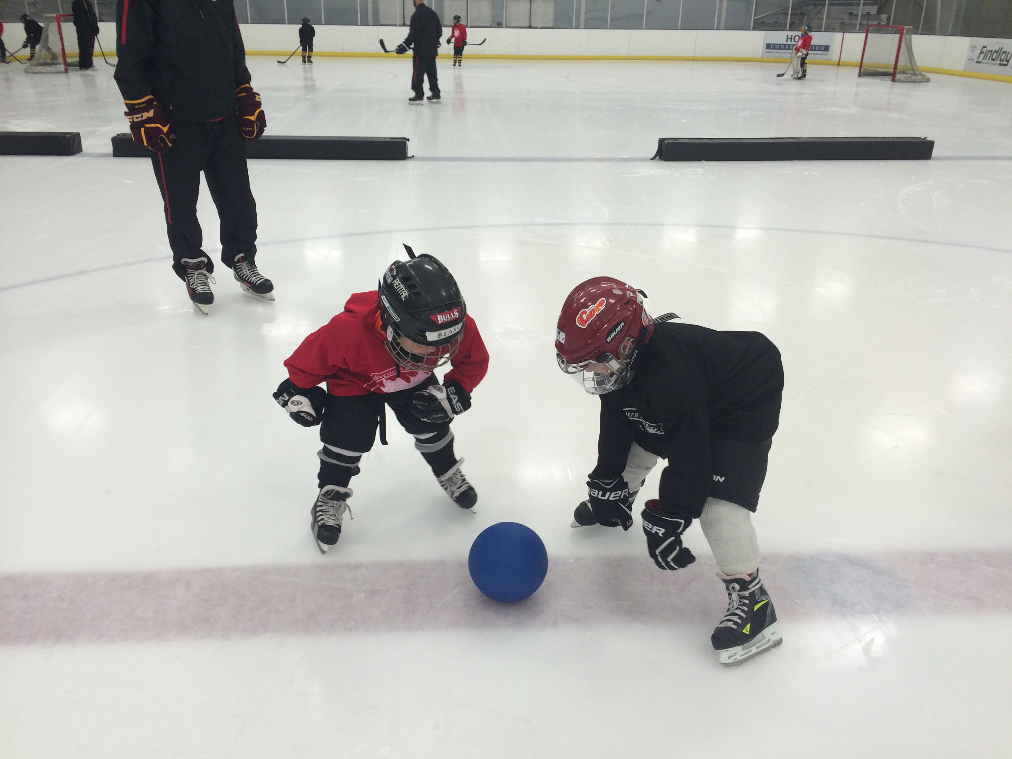 Northwestern Hockey Canada Camps