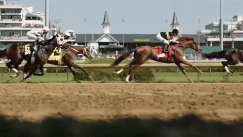 Horse Racing Sport GIF by Kentucky Derby.gif
