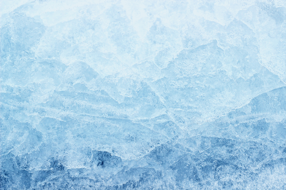 Ice Den Scottsdale