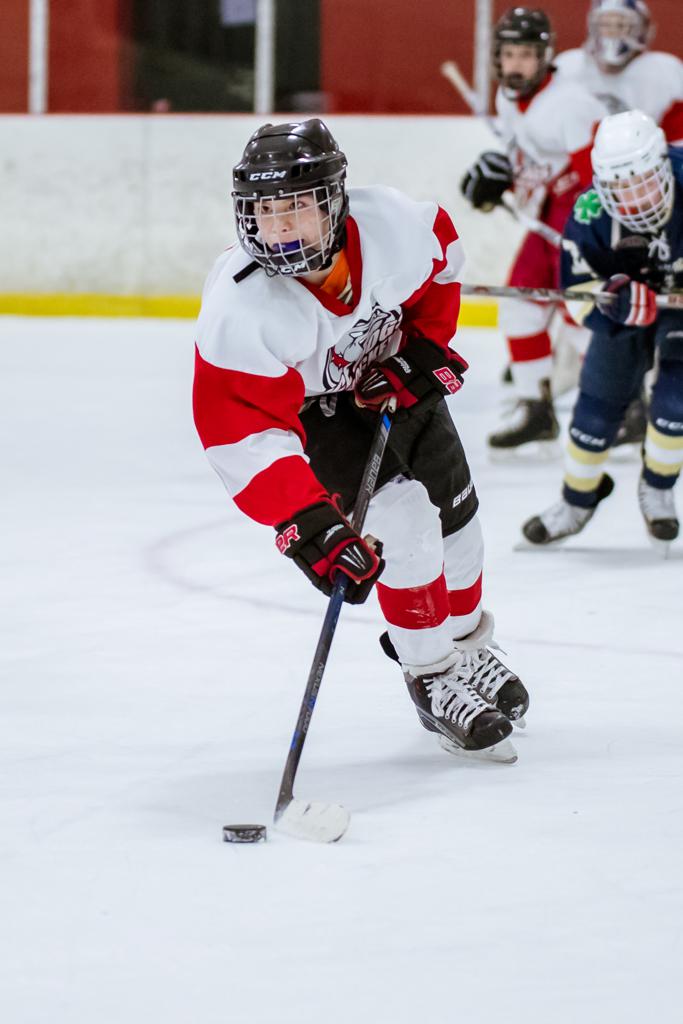 PEEWEE AA 201617 Photos West Michigan Ice Dogs Hockey/Holland