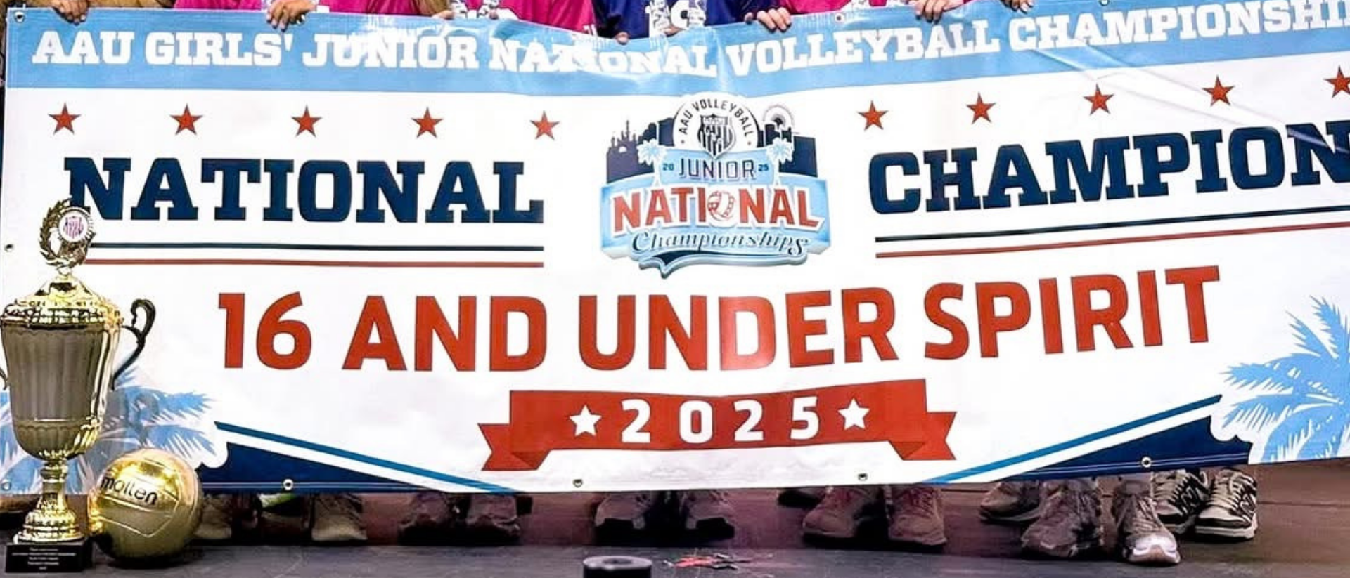 North Alabama Spikers Association