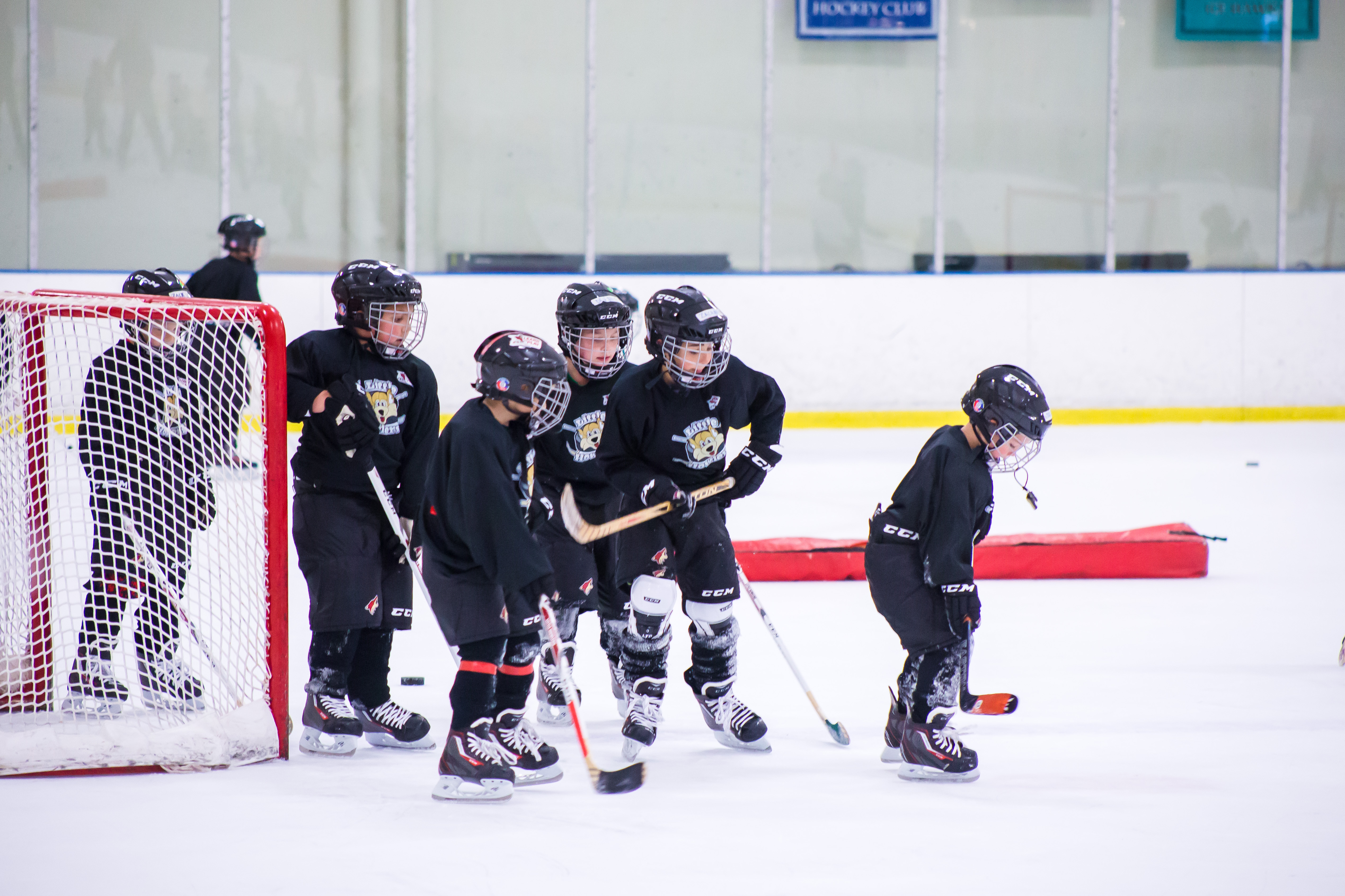 Amateur association california hockey, trisha boob photos