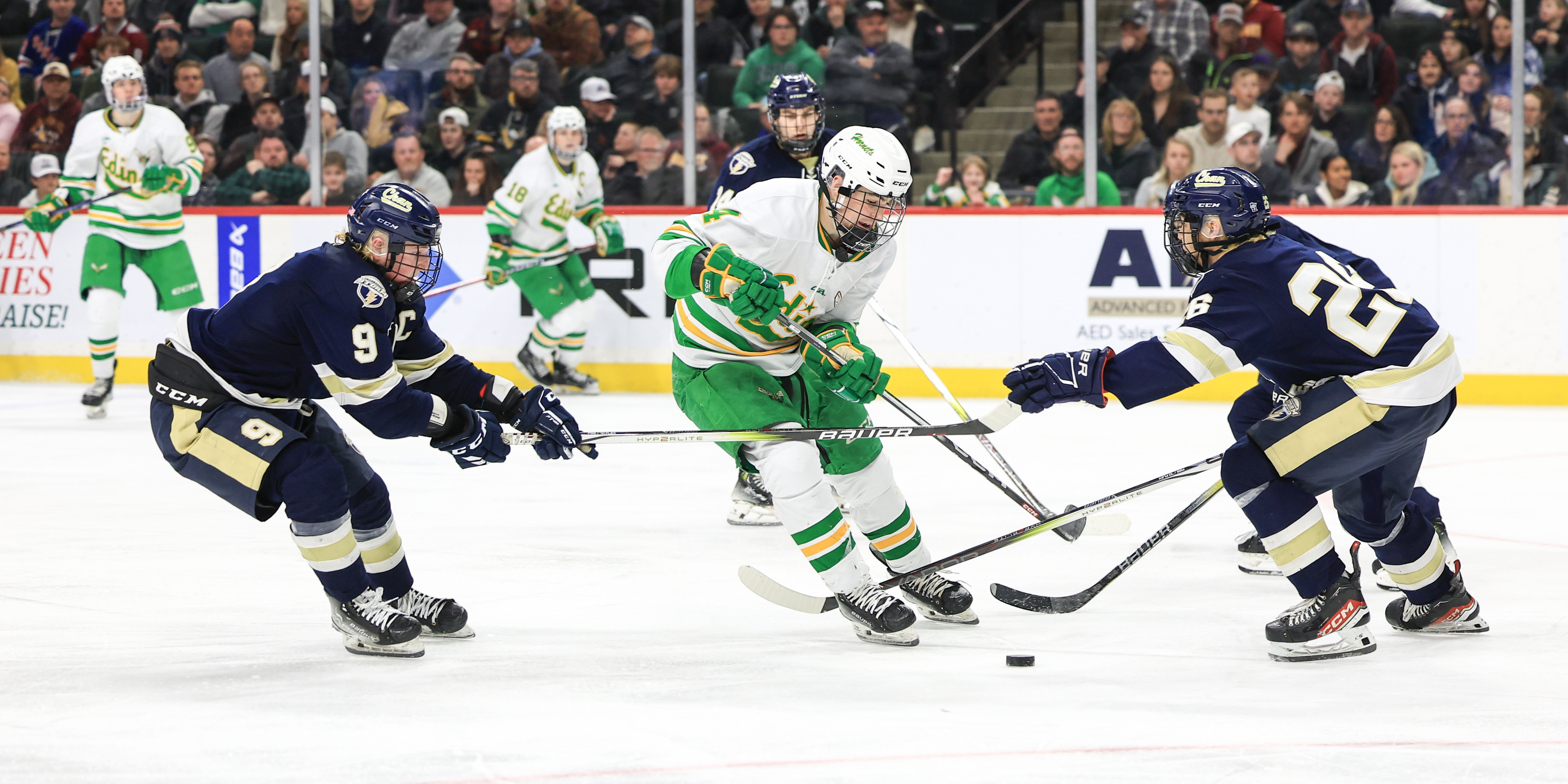 Edina beats Chanhassen for 14th state title