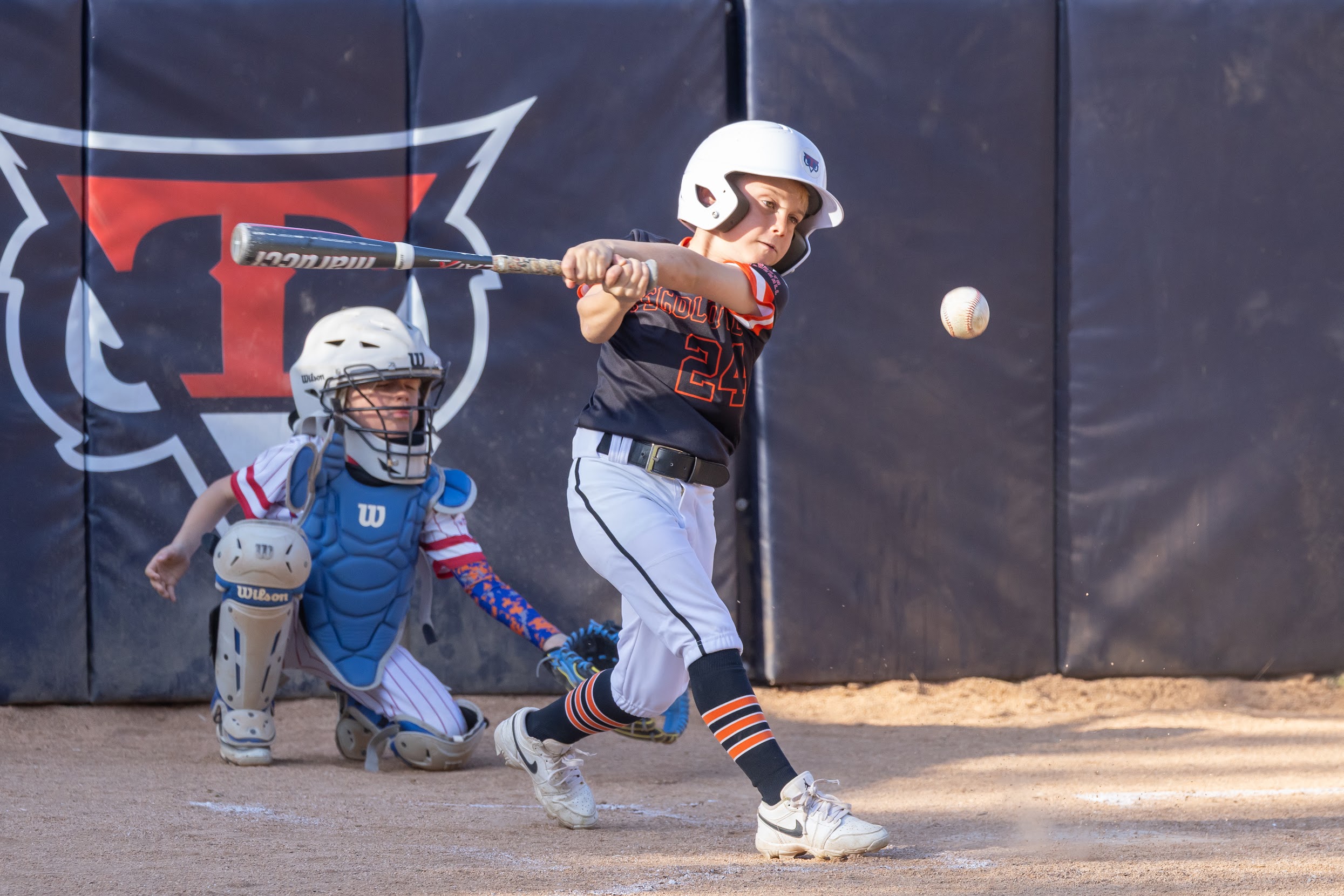Tecolote Youth Baseball gallery image 3