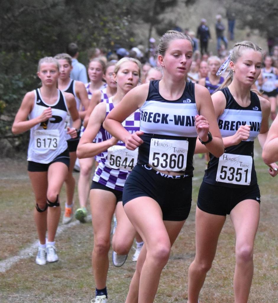 Wellman and Lill Reach Medal Stand for Otter Girls at Perham Invite