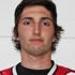 Tanner rodinsky crop icon small
