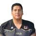 Toledo josh small