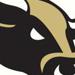 Bulls logo cropped small