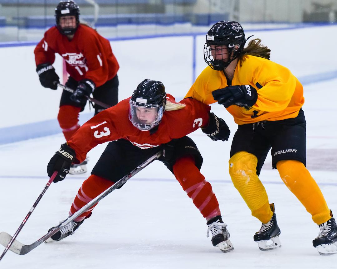 Team MA Girls Future Stars Tryout Registration - USA Ball Hockey, image size:1080x863